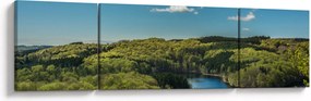 Obraz - Jezioro w lesie (170x50 cm)
