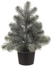 Świerk dekoracyjny w doniczce, 40 cm, zielony, pokryty szronem