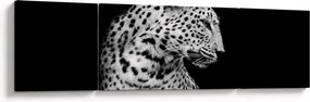 Obraz - Lampart (170x50 cm)