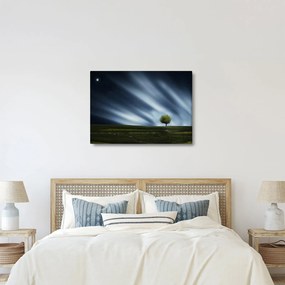 Obraz zorzy polarnej nad wrzosowiskami (70x50 cm)