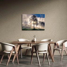 Obraz drzewa we mgle (70x50 cm)