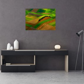 Obraz - Pola, łąki (70x50 cm)