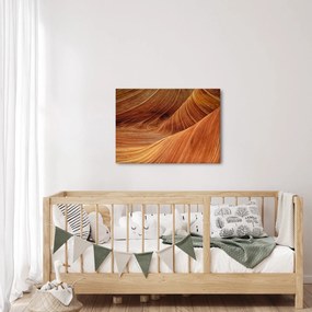Obraz - Czerwony piasek (70x50 cm)