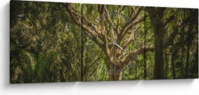 Obraz drzewa (z zegarem) (90x30 cm)