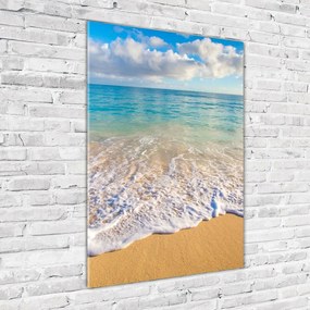 Foto obraz szklany pionowy Tropikalna plaża