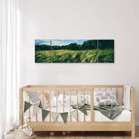 Obraz łąki i lasu (170x50 cm)
