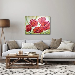 Obraz - Kwiaty maku (70x50 cm)