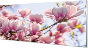 Panel nad Blat Kuchenny Płatki Magnolii