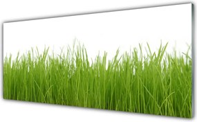 Panel Szklany do Kuchni Soczysta Zielona Trawa
