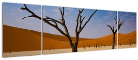 Obraz - Dolina Śmierci (170x50 cm)