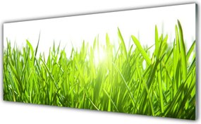 Panel Szklany Soczysta Zielona Trawa