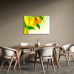 Obraz na szkle cytryn (70x50 cm)