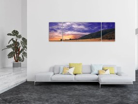 Obraz lawendowej łąki (170x50 cm)
