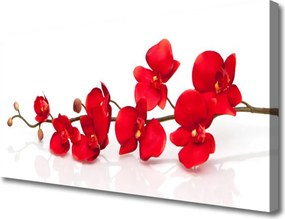 Obraz canvas Pełnia Kwiatowej Natury