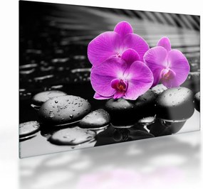 Obraz na szkle - Fioletowe orchidee (70x50 cm)