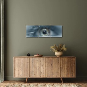 Obraz - Widok oka (z zegarem) (90x30 cm)
