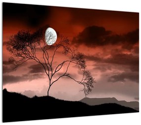 Obraz - Księżyc oświetlający noc (70x50 cm)