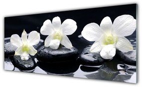 Obraz na Szkle Orchidea Kamienie Roślina