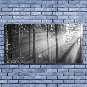 Obraz Canvas Las Natura Promienie Słońce