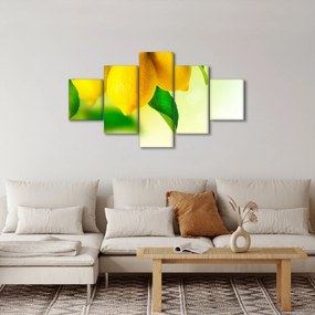Obraz cytryn (125x70 cm)