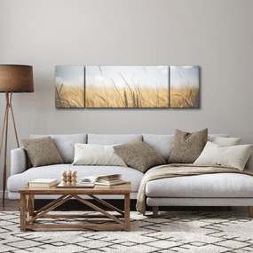 Obraz ziarna (170x50 cm)