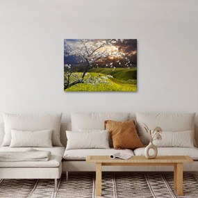 Obraz - Kwitnące drzewo w krajobrazie (70x50 cm)
