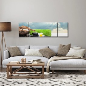 Obraz - Spa and relakx (170x50 cm)