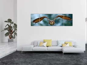 Obraz - Sowa w locie (170x50 cm)