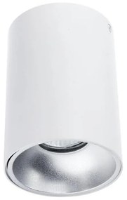 Oświetlenie punktowe TUBA 1xGU10/50W/230V biały