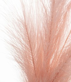 Gałązka Pampas 130cm pink