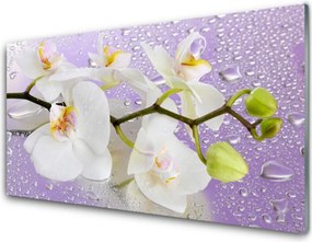 Szkło do Kuchni na Ścianę Pełnia Kwiatowego Rozkwitu