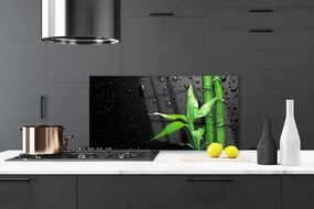 Panel Szklany do Kuchni Tropikalny Motyw Bambusa