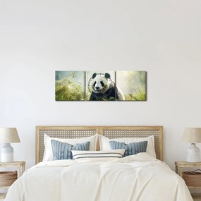 Obraz - Panda (z zegarem) (90x30 cm)