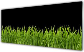 Szkło do Kuchni na Ścianę Naturalna Świeżość Murawy