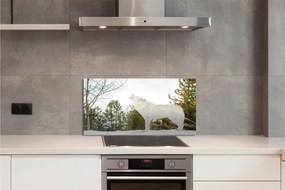 Panel nad Blat Kuchenny Wilk w Śnieżnej Puszczy