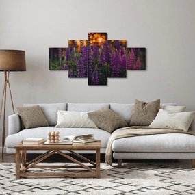 Obraz kwiatów łubinu (125x70 cm)