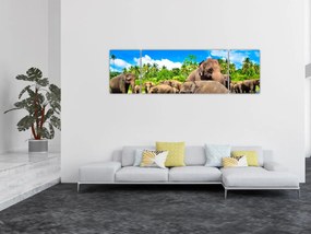 Obraz - Słonie, Sri Lanka (170x50 cm)