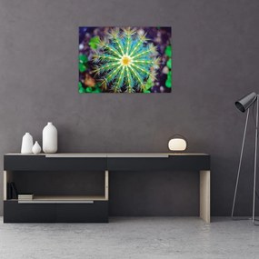 Obraz na szkle - kaktus (70x50 cm)