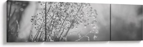 Obraz - Łąka po deszczu (170x50 cm)