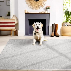 Szary dywan odpowiedni na zewnątrz 80x150 cm Zagora – Ayyildiz Carpets