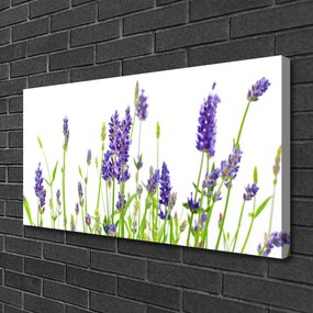 Obraz canvas na ścianę Delikatność Kwiatowych Form