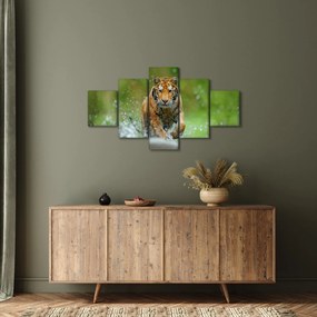 Obraz - Biegnący tygrys (125x70 cm)