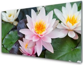 Szkło nad Blatem Nowoczesny Dekor Kwiatowy