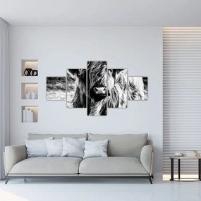 Obraz - Highland - szkocka krowa (125x70 cm)