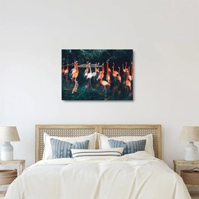 Obraz na szkle stada flamingów (70x50 cm)