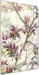 Obraz zdjęcie szkło akryl pionowy Magnolia