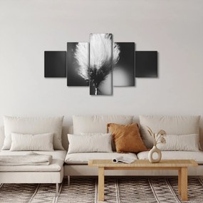 Obraz - Czarno-biała trawa bawełniana (125x70 cm)