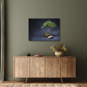 Obraz na szkle - Bonsai (70x50 cm)