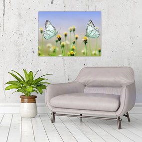 Obraz na szkle motyli na kwiatku (70x50 cm)