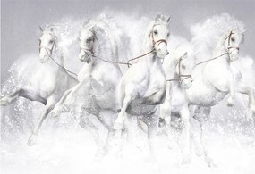 Obraz na szkle - Ilustracja przedstawiająca konie wyścigowe (70x50 cm)